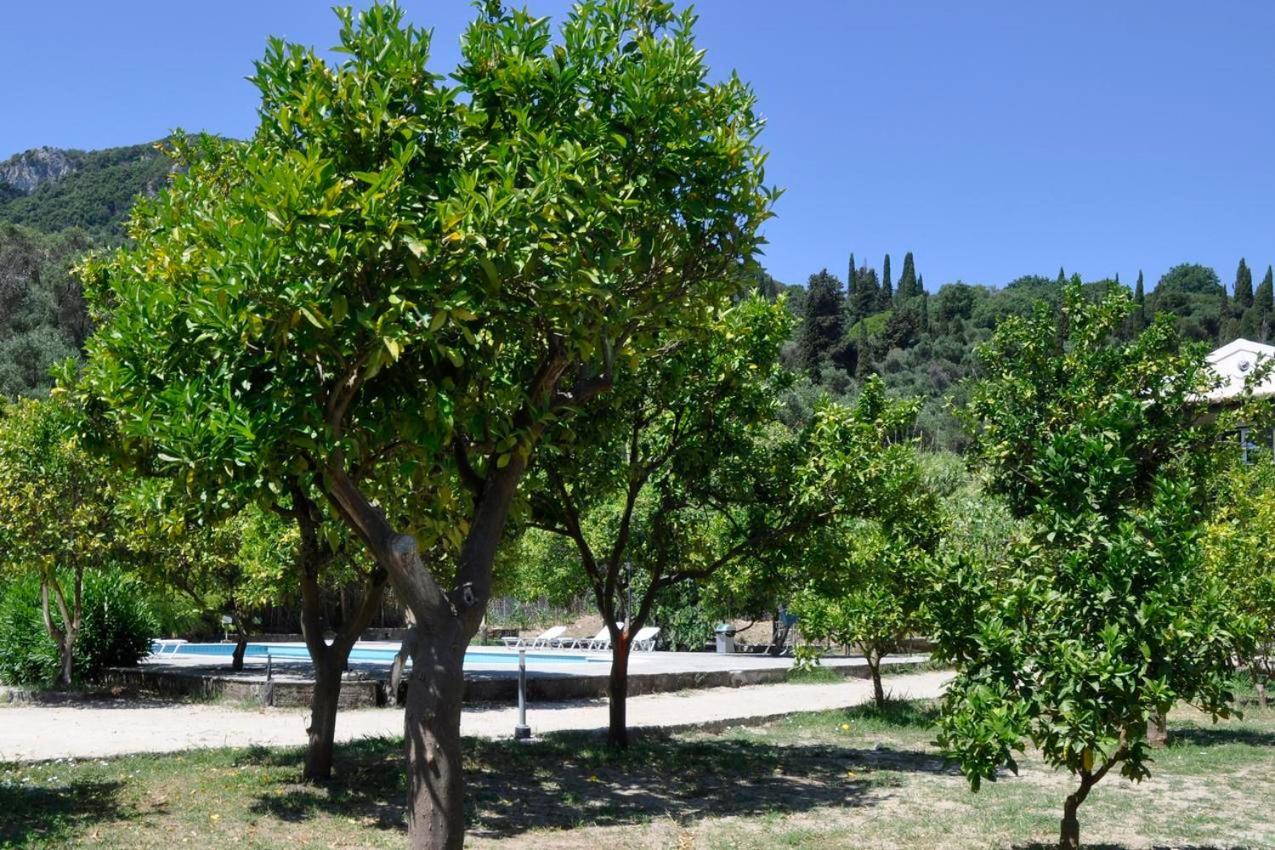 Orange Grove Suites بينيتسيس المظهر الخارجي الصورة