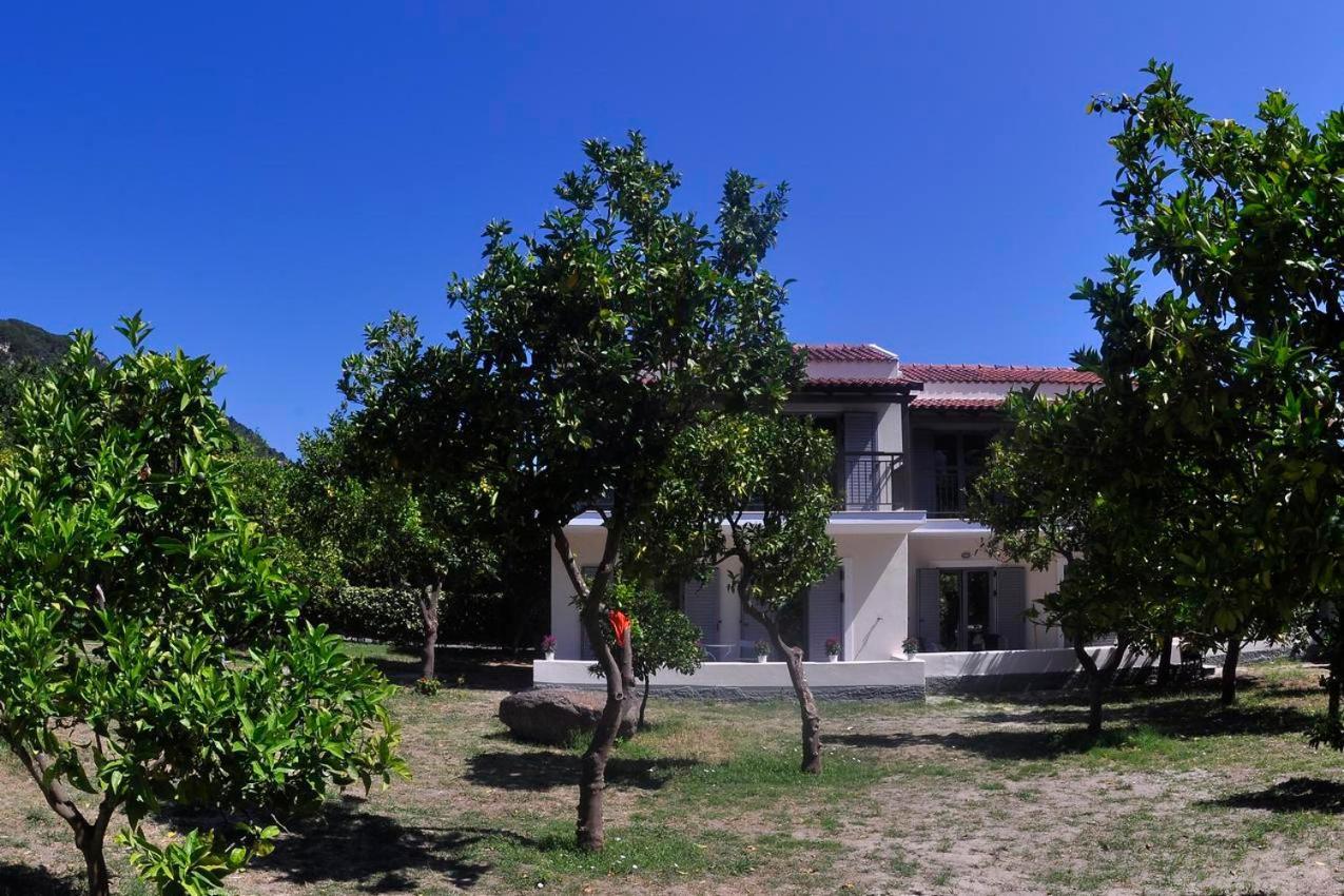Orange Grove Suites بينيتسيس المظهر الخارجي الصورة