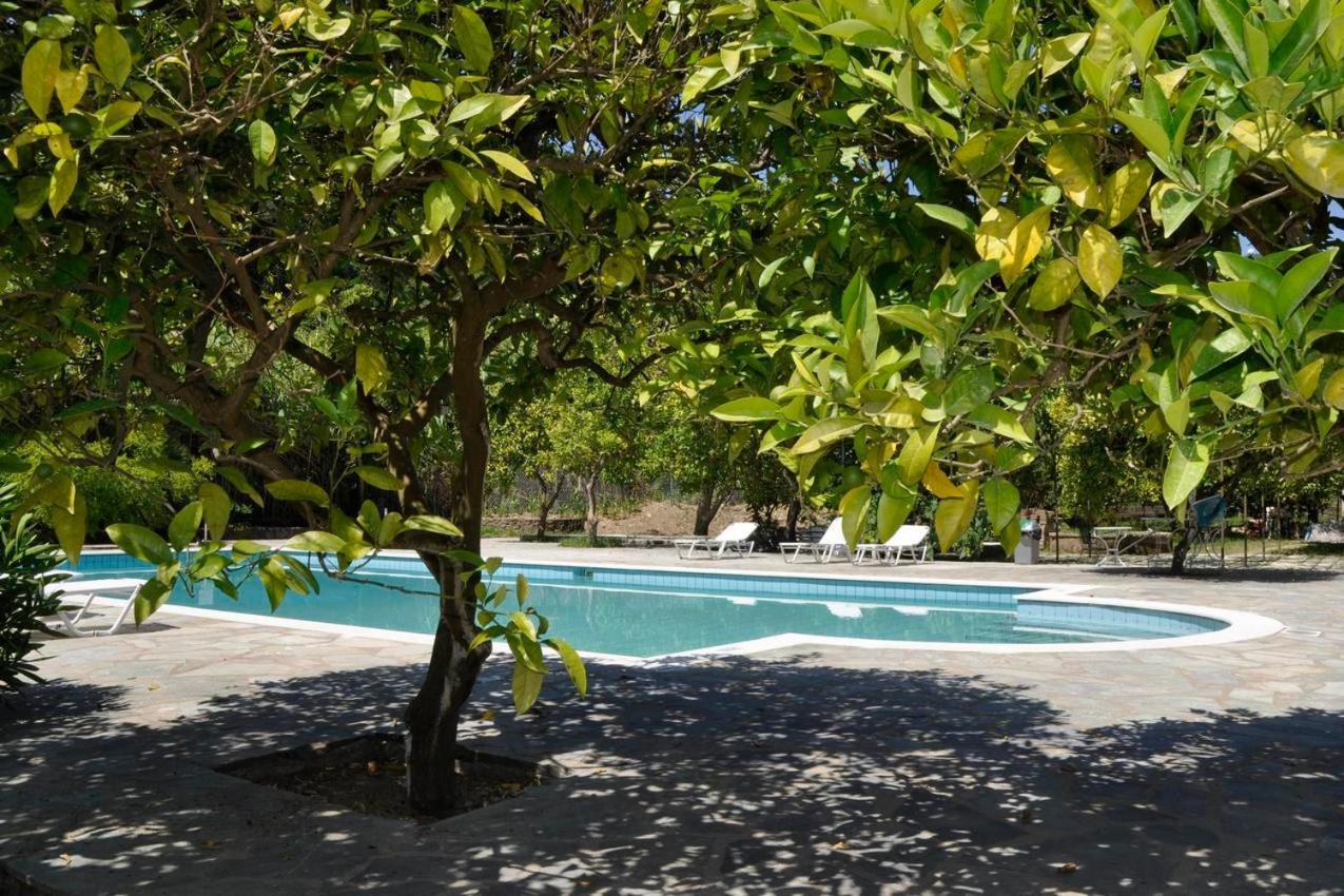 Orange Grove Suites بينيتسيس المظهر الخارجي الصورة
