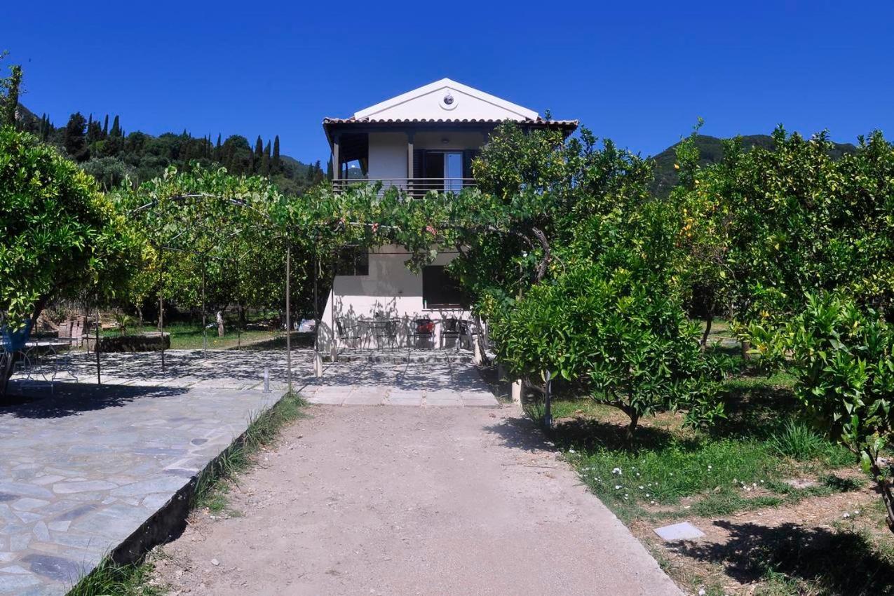 Orange Grove Suites بينيتسيس المظهر الخارجي الصورة